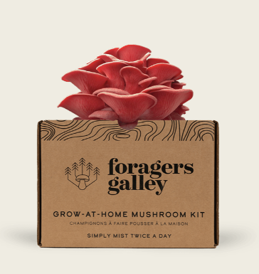 Grow-At-Home Mushroom Kit - Pink Oyster