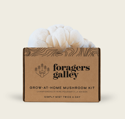 Grow-At-Home Mushroom Kit - Lion's Mane